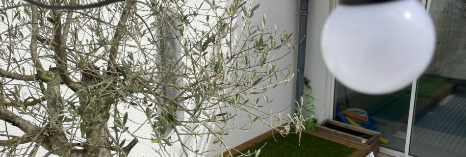 Estrade en bois pour la terrasse